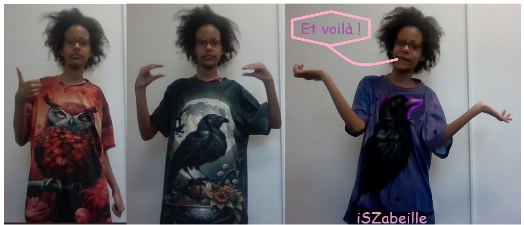 iSZabeilleOrangeRougeNoir